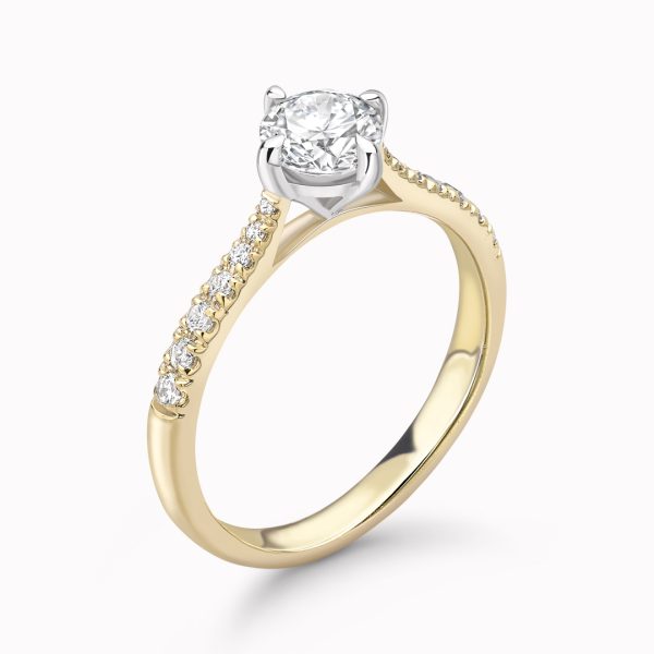 Lucia Lab Grown Round Diamond Sidestone Ring