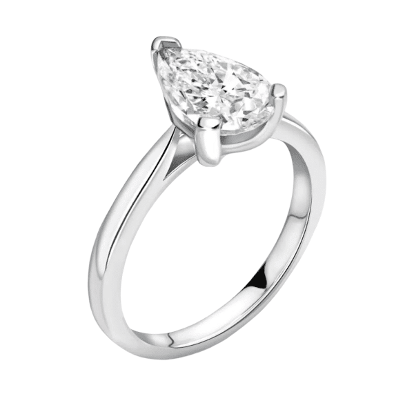 white back 2025 03 08T162652.958 1024x1024 1