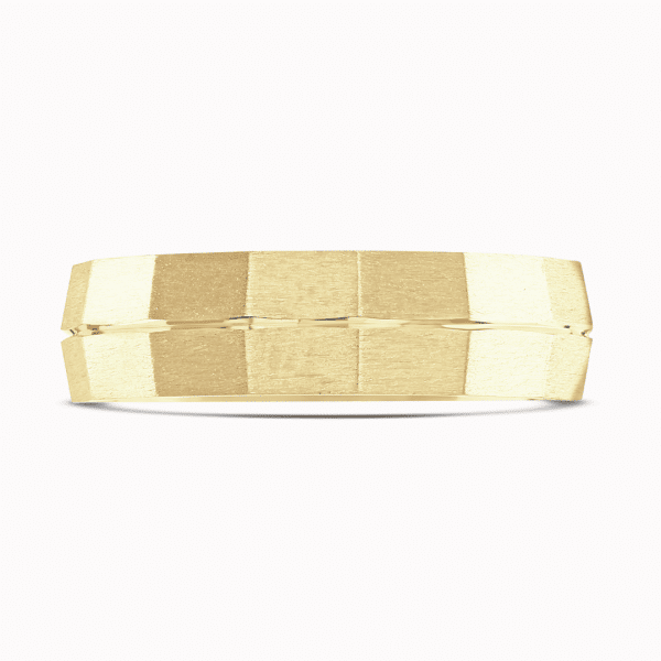 AXEL 202339 ANP2050 6