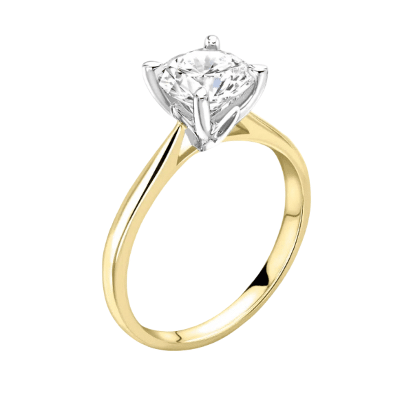 white back 2025 03 04T141206.767 1024x1024 1